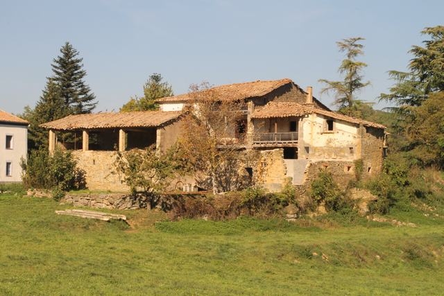 Sendero en un bosque  El contenido generado por IA puede ser incorrecto.